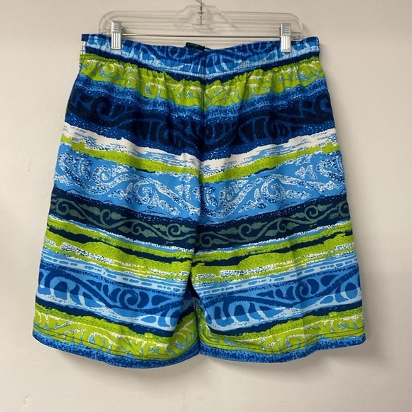 Speedo Beach Trunks Men's Large Blue Green Lined - Picture 2 of 6